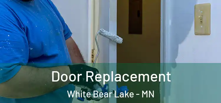  Door Replacement White Bear Lake - MN