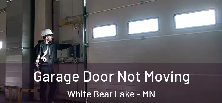  Garage Door Not Moving White Bear Lake - MN