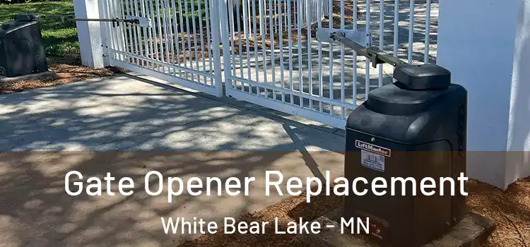  Gate Opener Replacement White Bear Lake - MN