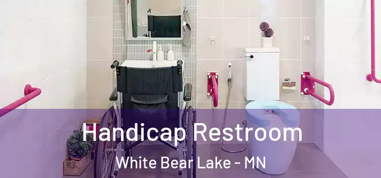  Handicap Restroom White Bear Lake - MN