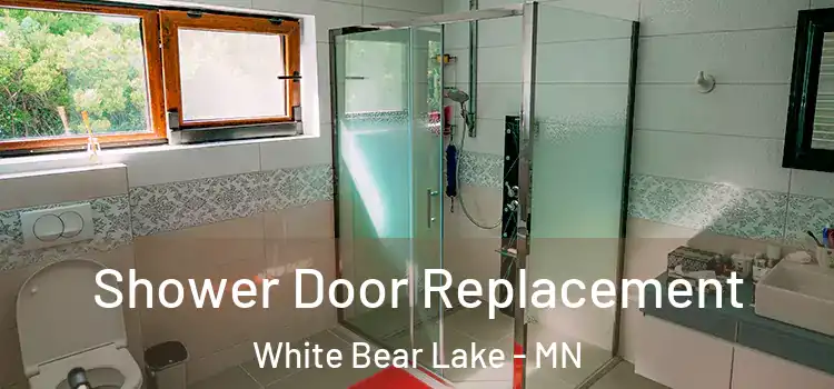  Shower Door Replacement White Bear Lake - MN