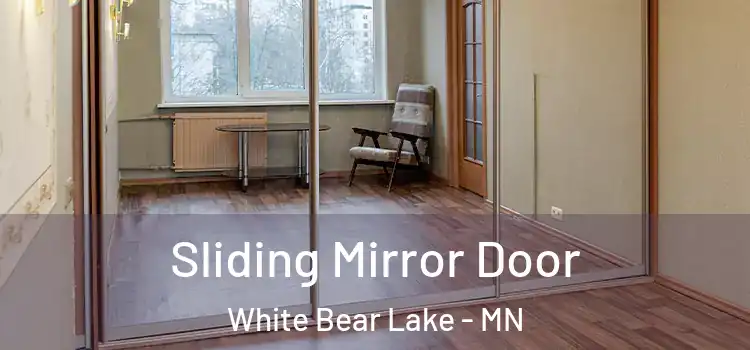  Sliding Mirror Door White Bear Lake - MN